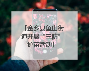 金乡县鱼山街道开展“三防”护苗活动