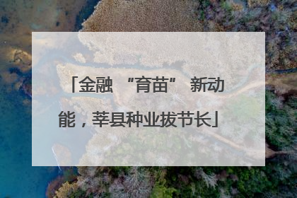金融 “育苗” 新动能，莘县种业拔节长
