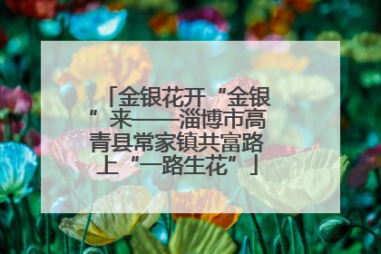 金银花开“金银”来——淄博市高青县常家镇共富路上“一路生花”