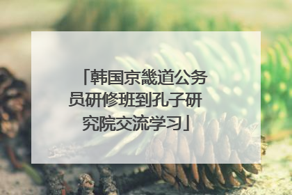 韩国京畿道公务员研修班到孔子研究院交流学习
