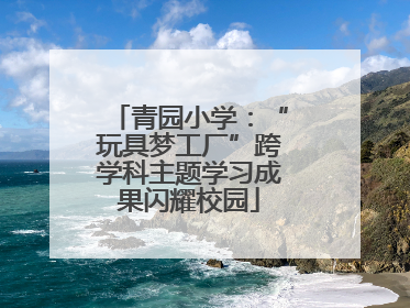 青园小学：“玩具梦工厂”跨学科主题学习成果闪耀校园