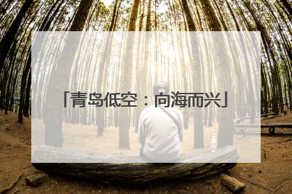 青岛低空：向海而兴