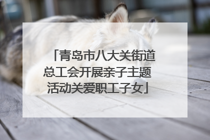青岛市八大关街道总工会开展亲子主题活动关爱职工子女