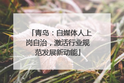 青岛：自媒体人上岗自治，激活行业规范发展新动能
