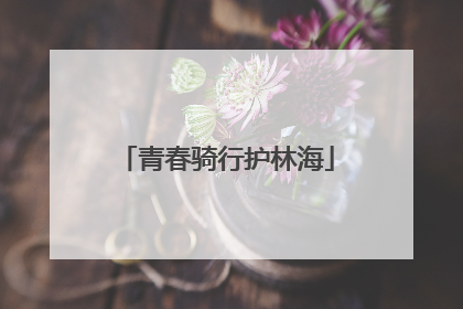 青春骑行护林海