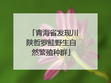 青海省发现川陕哲罗鲑野生自然繁殖种群