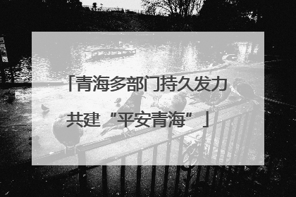 青海多部门持久发力共建“平安青海”