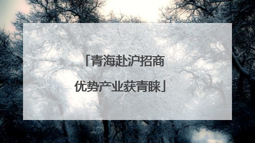 青海赴沪招商 优势产业获青睐