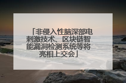非侵入性脑深部电刺激技术、区块链智能漏洞检测系统等将亮相上交会