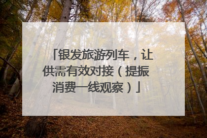 银发旅游列车，让供需有效对接（提振消费一线观察）
