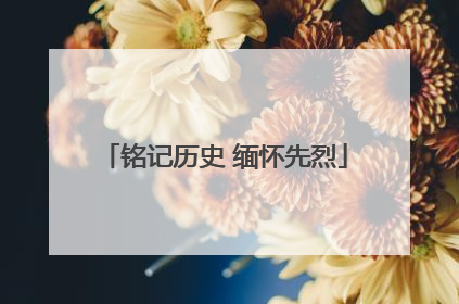 铭记历史 缅怀先烈