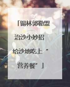 锡林郭勒盟治沙小妙招 给沙地吃上“营养餐”