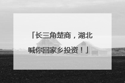 长三角楚商，湖北喊你回家乡投资！