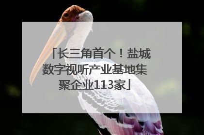 长三角首个！盐城数字视听产业基地集聚企业113家