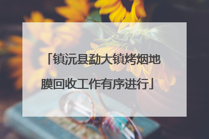 镇沅县勐大镇烤烟地膜回收工作有序进行