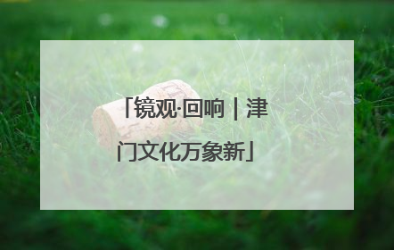镜观·回响｜津门文化万象新
