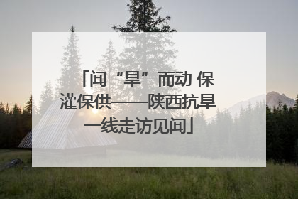 闻“旱”而动 保灌保供——陕西抗旱一线走访见闻