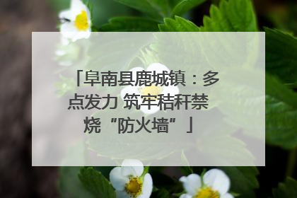 阜南县鹿城镇：多点发力 筑牢秸秆禁烧“防火墙”