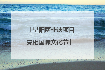 阜阳两非遗项目亮相国际文化节