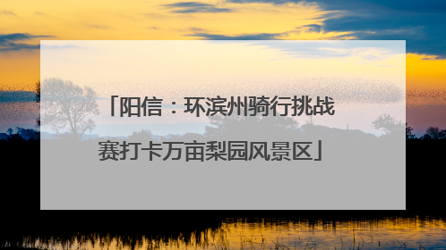 阳信：环滨州骑行挑战赛打卡万亩梨园风景区