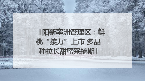 阳新率洲管理区：鲜桃“接力”上市 多品种拉长甜蜜采摘期