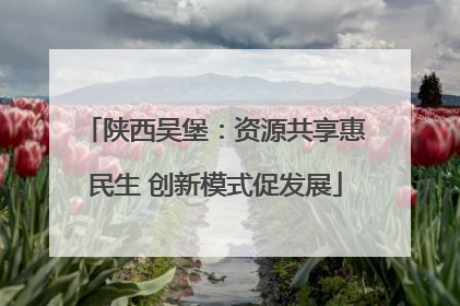 陕西吴堡：资源共享惠民生 创新模式促发展