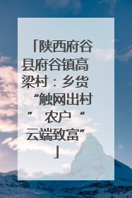 陕西府谷县府谷镇高梁村：乡货“触网出村” 农户“云端致富”