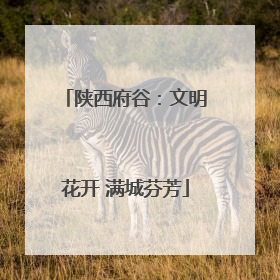 陕西府谷：文明花开 满城芬芳