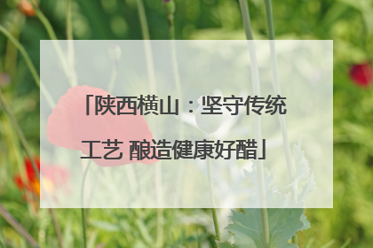 陕西横山：坚守传统工艺 酿造健康好醋