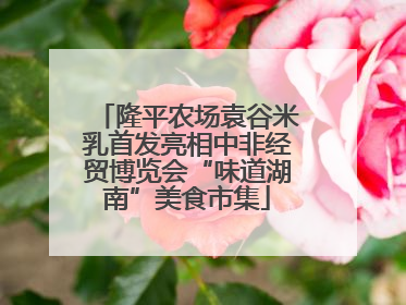 隆平农场袁谷米乳首发亮相中非经贸博览会“味道湖南”美食市集