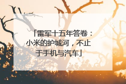 雷军十五年答卷：小米的护城河，不止于手机与汽车