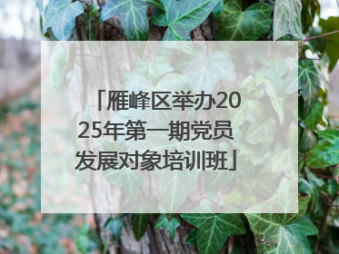 雁峰区举办2025年第一期党员发展对象培训班