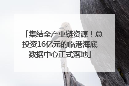 集结全产业链资源！总投资16亿元的临港海底数据中心正式落地