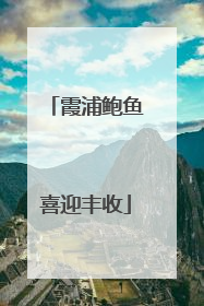 霞浦鲍鱼喜迎丰收
