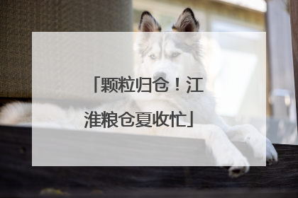 颗粒归仓！江淮粮仓夏收忙