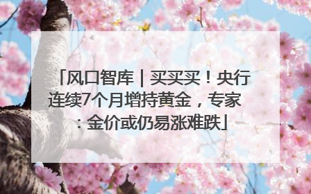 风口智库｜买买买！央行连续7个月增持黄金，专家：金价或仍易涨难跌