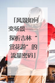 风景如何变场景——探析吉林“赏花游”的流量密码
