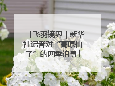 飞羽镜界｜新华社记者对“高原仙子”的四季追寻