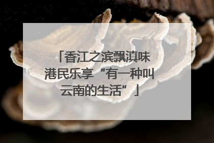 香江之滨飘滇味 港民乐享“有一种叫云南的生活”