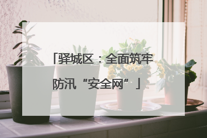 驿城区：全面筑牢防汛“安全网”