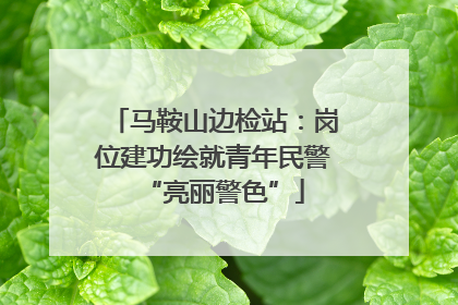 马鞍山边检站：岗位建功绘就青年民警“亮丽警色”