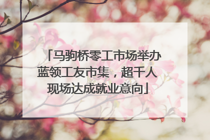 马驹桥零工市场举办蓝领工友市集，超千人现场达成就业意向