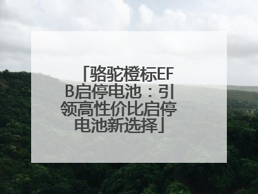 骆驼橙标EFB启停电池：引领高性价比启停电池新选择