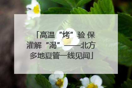 高温“烤”验 保灌解“渴”——北方多地夏管一线见闻