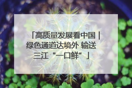高质量发展看中国｜绿色通道达境外 输送三江“一口鲜”
