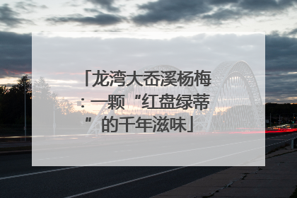 龙湾大岙溪杨梅：一颗“红盘绿蒂”的千年滋味