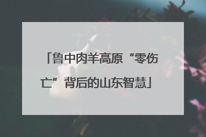 鲁中肉羊高原“零伤亡”背后的山东智慧
