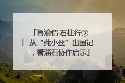 鲁渝情·石柱行② ︳从“莼小丝”出国记，看淄石协作启示