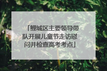 鲤城区主要领导带队开展儿童节走访慰问并检查高考考点