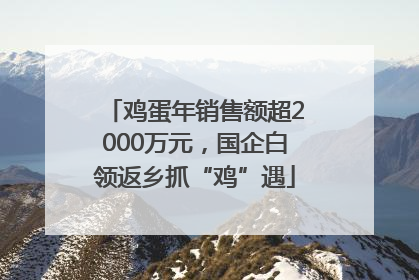 鸡蛋年销售额超2000万元，国企白领返乡抓“鸡”遇